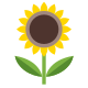 Tournesol icon