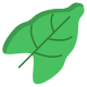 Leaf icon