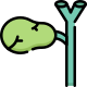 Gallbladder icon