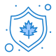 Kanada icon