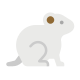 Rato icon