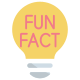 Fun Fact icon