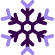 Flocon de neige icon