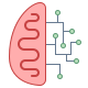 Inteligencia artificial icon