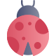 lady Bug icon