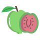 Guava icon