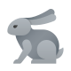 Rabbit icon