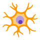 neurona icon