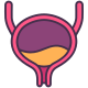 Bladder icon