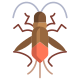 Boxelder Bug icon