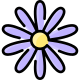 Aster icon