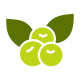 Berries icon