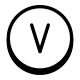 带圆圈的V icon