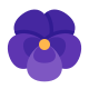 violette Blume icon