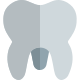 Molar teeth isolated on a white background icon