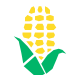 Corn icon