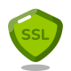 Seguridad SSL icon