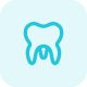 Molar teeth isolated on a white background icon