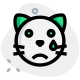 Cat with tear drop weeping emoji shared on messenger icon