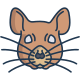 Eichhörnchen icon