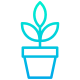 阳光下的植物 icon