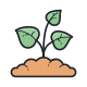 Sprout icon