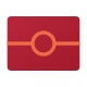 Passaporte biométrico icon