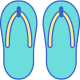 Flip Flops icon