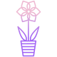 Amaryllis icon