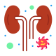 Kidneys icon