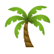 Palm Tree icon