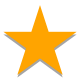 Stern gefüllt icon