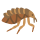 pulga icon