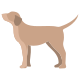 Dog icon