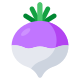 Turnip icon