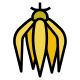 Ylang-ylang icon