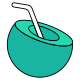 Coconut Water icon