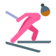 クロスカントリー スキー スキン タイプ 4 icon