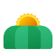 Campo icon