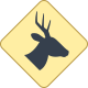 Placa de animais selvagens icon