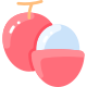 Lychee icon