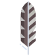 Woodpecker Feather icon