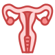 Utero icon