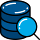 Data icon