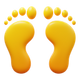 Menschlicher Fußabdruck icon