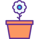 Blossom icon