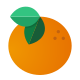 Orange icon