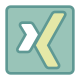 Xing icon