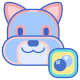 Blueberry icon