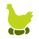 Poulet icon